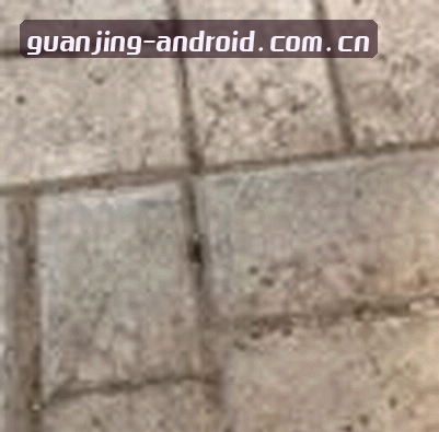 小美